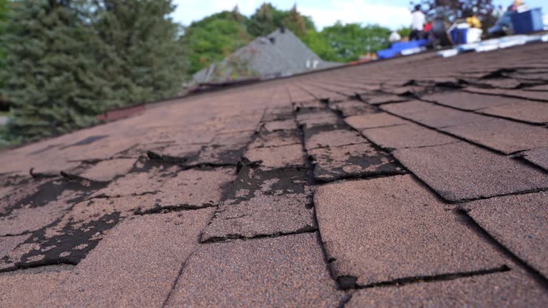 Best Roof Ventilation Installation  in Deerfield Beach, FL